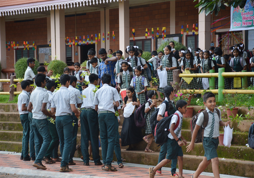 june5th-plantdistribution-occasion-image