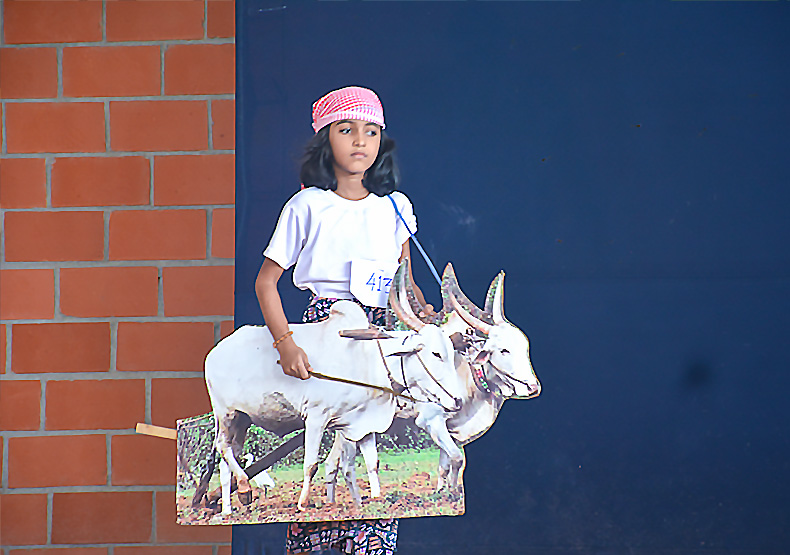 childrens day benhill school image-1